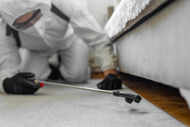 Professional Cockroach Control technician working in Redlands, CA